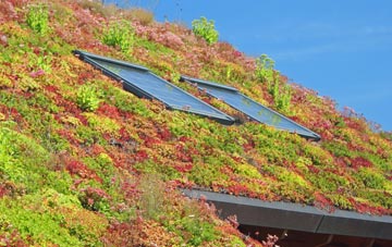 Sookholme living roof systems